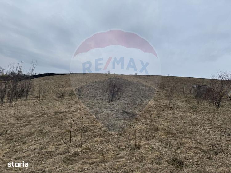 Teren intravilan 2307 mp in Salicea, zona premium, aproape de Cluj - 6