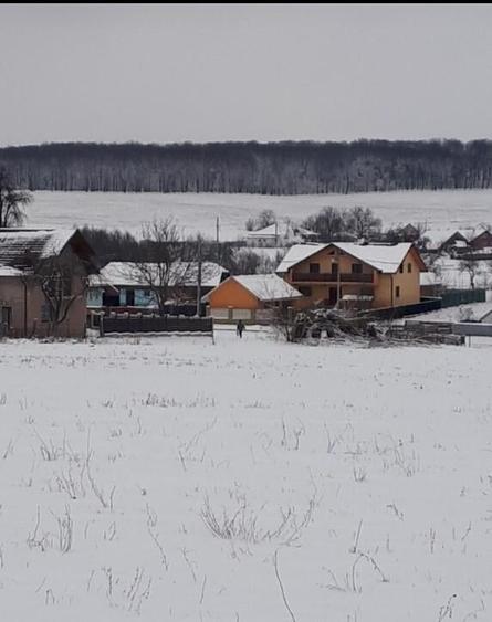 Casa / Vila ( P + E + Pod ) Zona Mitocul Dragomirnei - 10