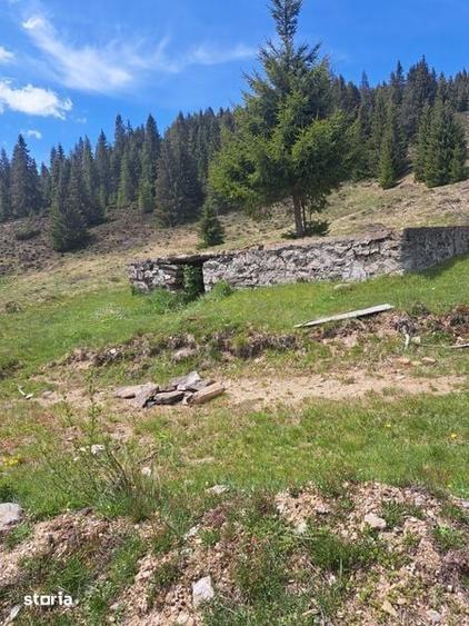 Teren de 5 mp, în Beliș