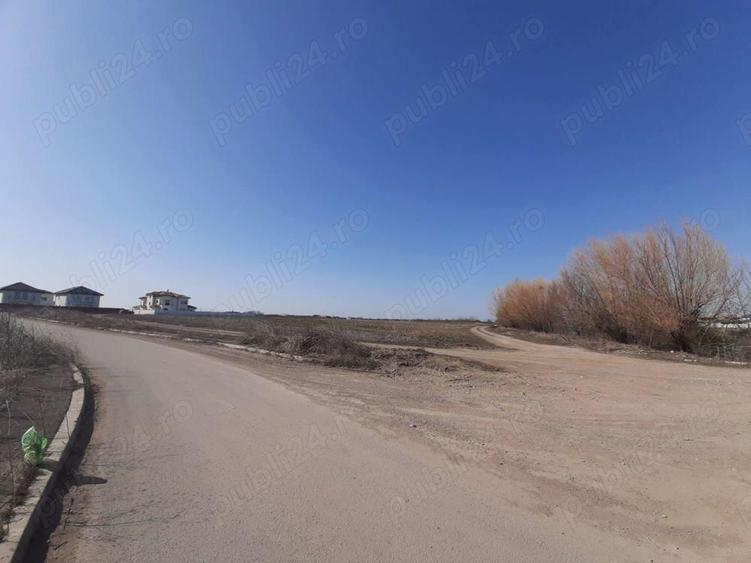 Teren de vanzare 4506mp str.Mierlei Tunari Ilfov - 7