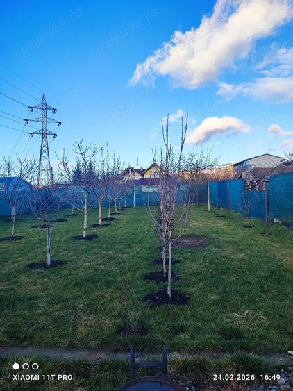 Casa de vanzare in Apahida - 5