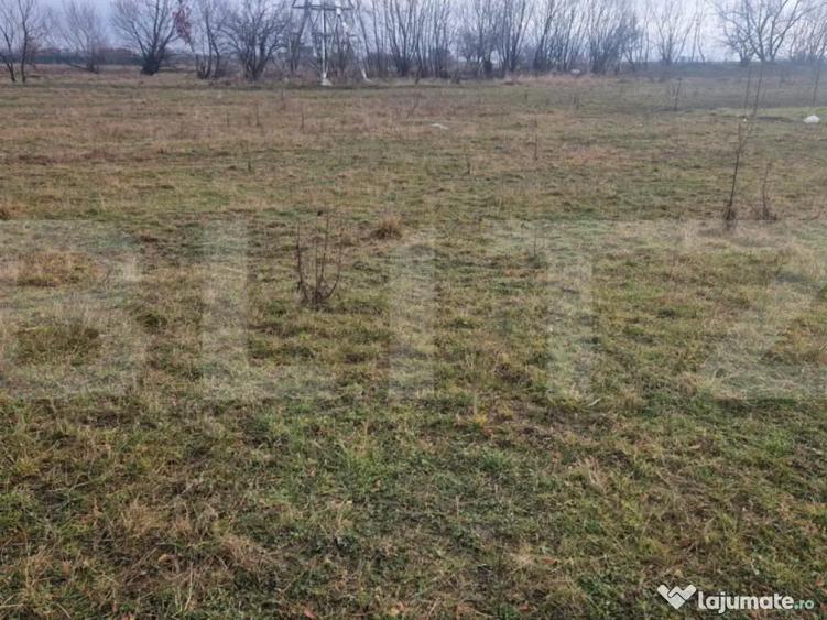 Teren intravilan Sanpetru - ideal c-tie casa- 500 mp - 4