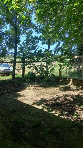 Vand casa in sat Feldioara jud.Cluj - 6