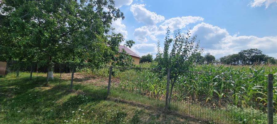 Teren intravilan in Zaicesti zona Conacului cu latura de padure - 2