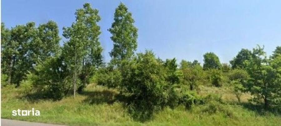 Teren cota parte 1/3 Cocorastii Mislii, ID: R2949920 - 8