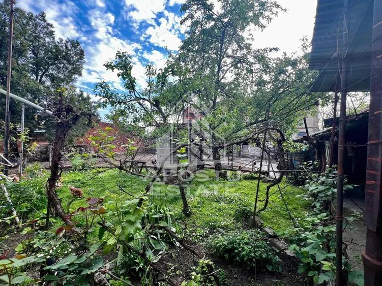 Casa cu 2 camere, 690mp in Battonya - 3