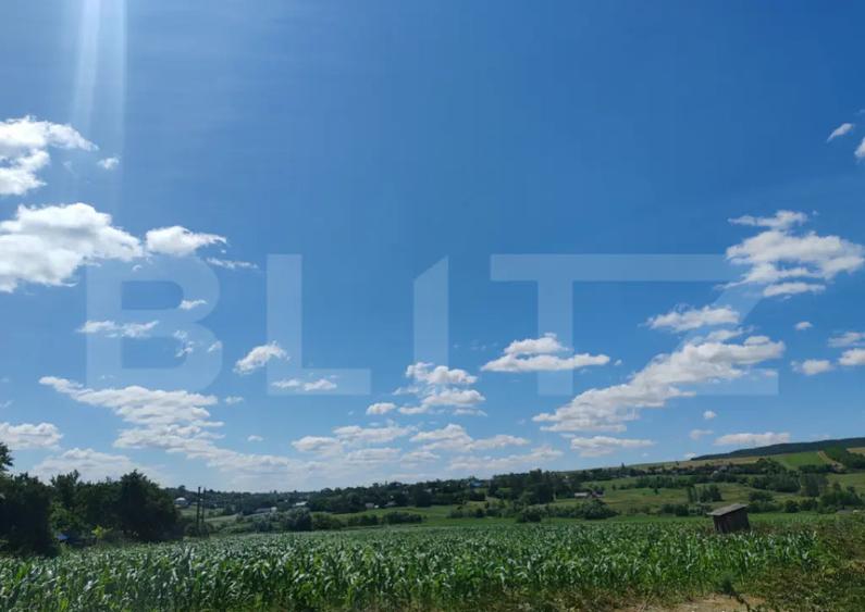 Teren 9600 mp si casa batraneasca demolabila, Dealu - 1