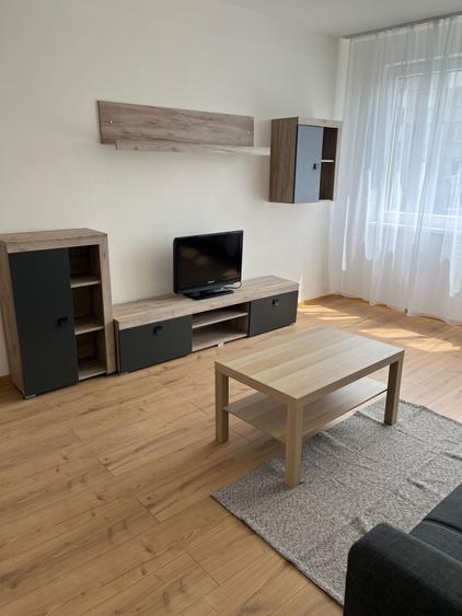 Inchiriere apartament 3 camere central Timisoara - 6