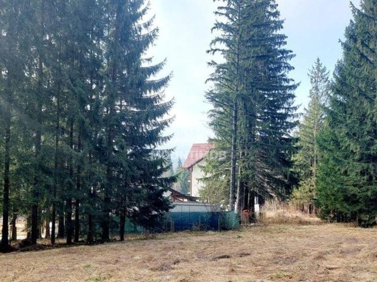 Teren intravilan în Poiana Brașov, strada Poiana Ruia - 4