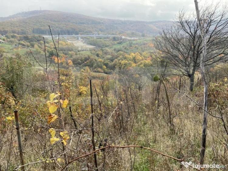 Teren extravilan suparfata 787 mp in zona Bradet - 1