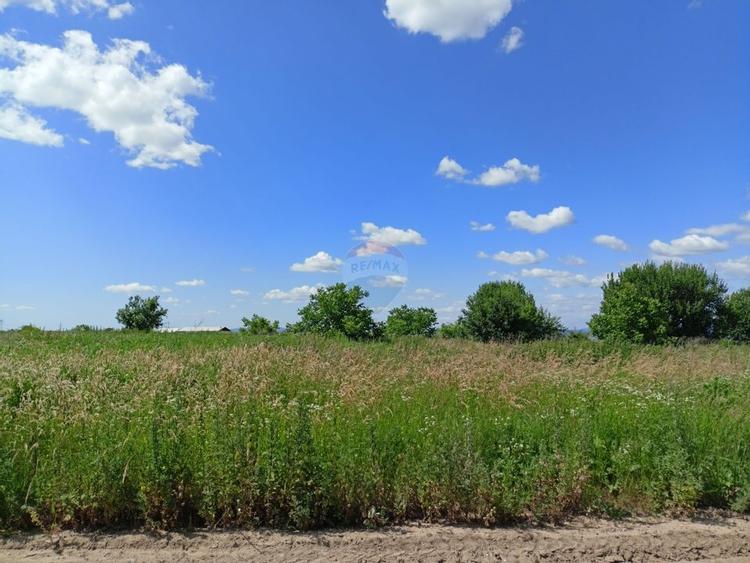 COMISION 0%! Teren 712mp Sacele / Strada Postavarului - 3