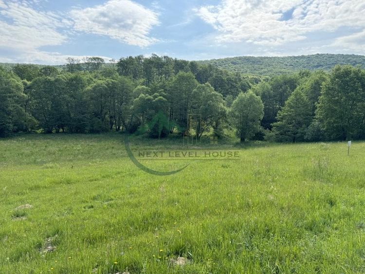 Teren extravilan - oportunitate investitie - 2