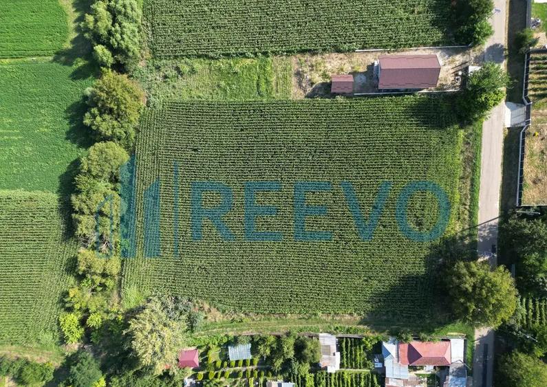 Teren intravilan de vanzare, Sat Bogdan?ti, Com. Traian - 1