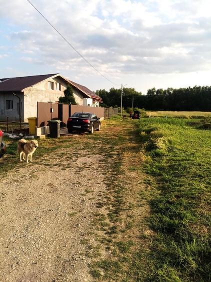 Teren de poveste Domnesti Sat Teghes langa padure - 5