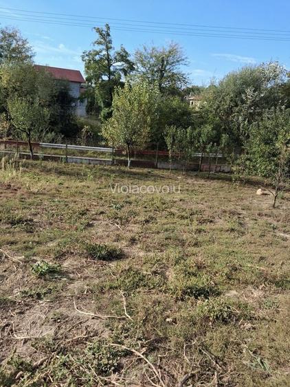Teren intravilan - 750 mp (in acte), (798 mp suprafata masurata) - comuna Cocorastii-Mislii (Prahova) - la 18 km de Ploiesti