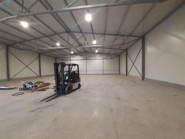 Hala noua in zona Gara Catelu, Drumul Intre Tarlale - 2