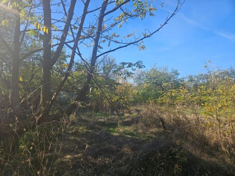 Teren intravilan Ploiesti Bucov - 8