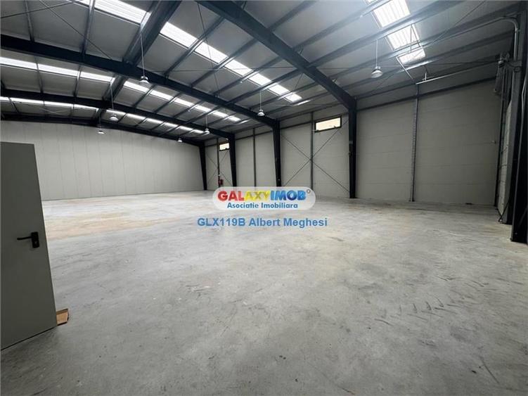 Vanzare Spatiu Depozitare/Hala Centura-Mogosoaia - 4