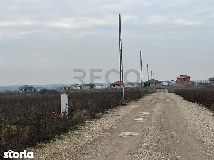 RECO Teren intravilan 500 mp zona Grigorescu 2-la 5 minute de Oradea - 2