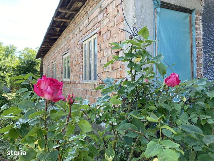 Vanzare Casa Bunicilor in satul Bucsani - Dambovita-Comision 0% - 7
