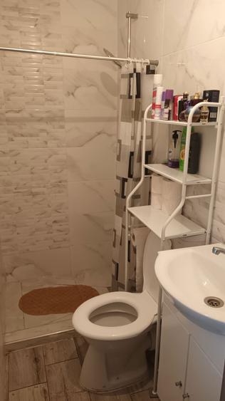 Vand casa ,sat Bozieni,judet Botosani! - 8