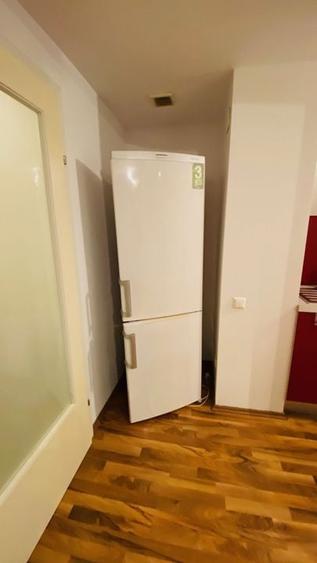 Lacul Tei - Inginerilor - 12