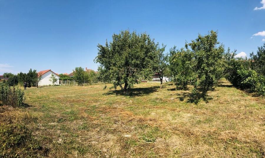 Vand teren de casa in Ardud - 9