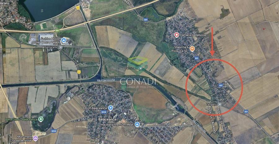 Teren intravilan 3,74 ha | Cernica - Tanganu | Investitie | A2 - 1
