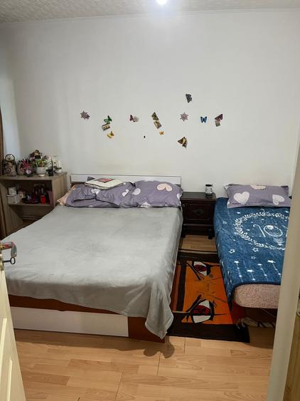 Apartament 3 camere NICOLINA, DECOMANDAT, parter, planul 2 - 4