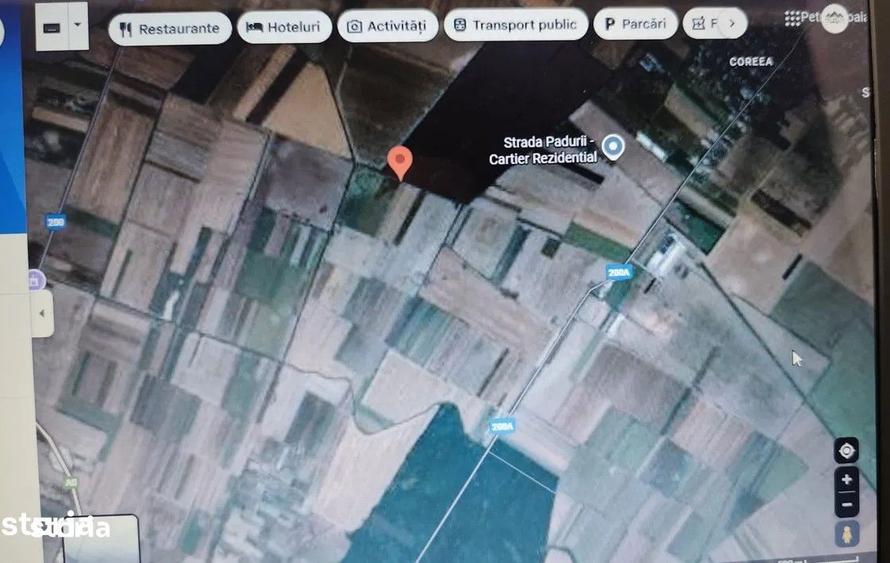 De Vanzare Teren 10.000mp Extravilan Investitie Afumati Ilfov - 1