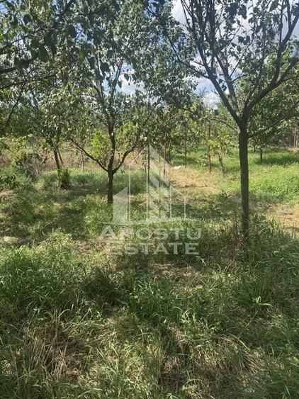 Casă unifamilială cu teren de 1504 mp - 20