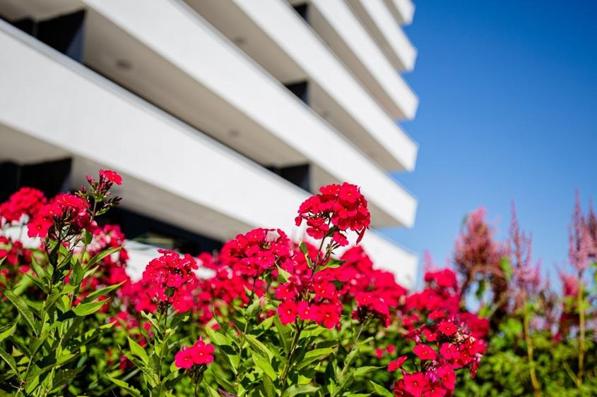 Vand apartament de lux, cu 2 camere in Wings- cu CF! - 8