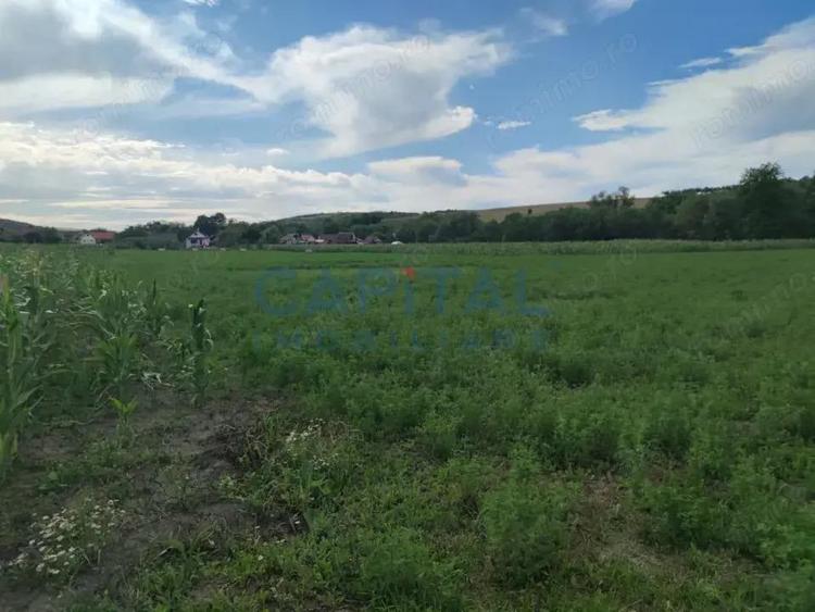 Comision %! Teren intravilan 22 400 mp, suprafata plana, sat Fundatura Cluj - 2