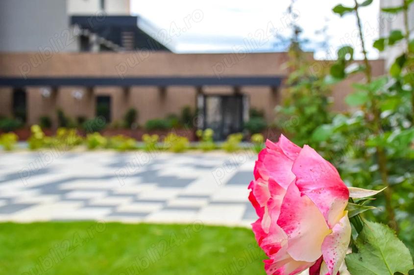 Apartament premium 1 camera, Qualis 2, Coresi, priveliste spre Tampa - 4