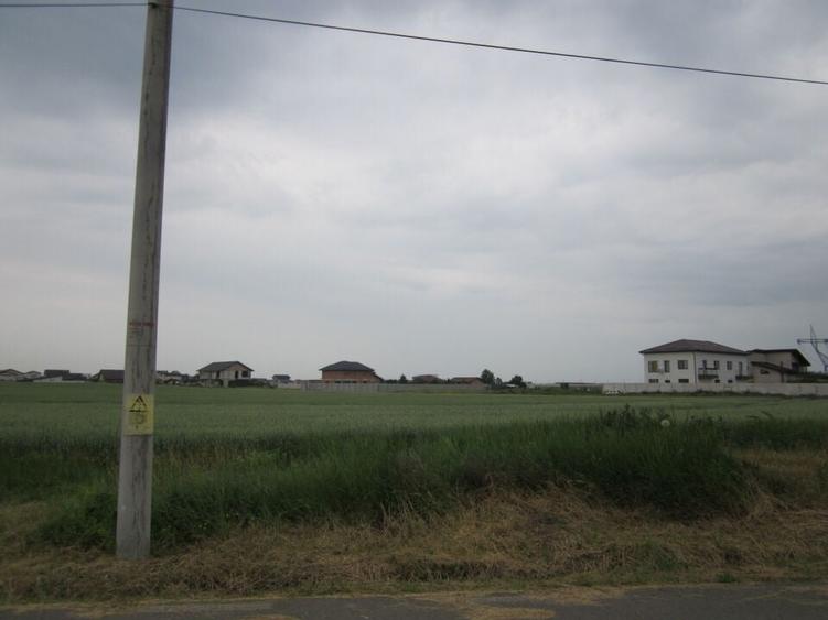 Domnesti-Narciselor - 10