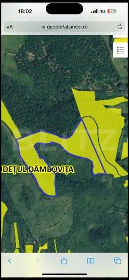 Teren extravilan 16 ha cu padure ?i vedere panoramica Razvad - 2