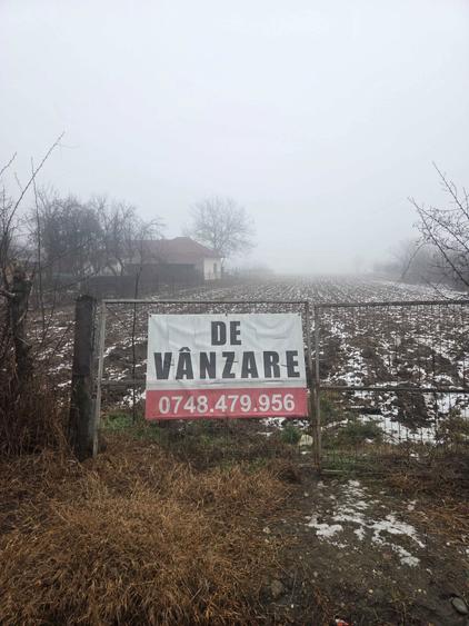 De vanzare teren intravilan Maracineni Arges - 2