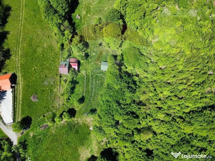Comision 0%! Proprietate in natura, priveliste superba, S... - 13