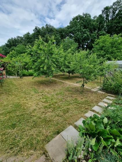 Proprietar – ofer spre vânzare vilă Corbeanca/Tămăși, langa padure - 13