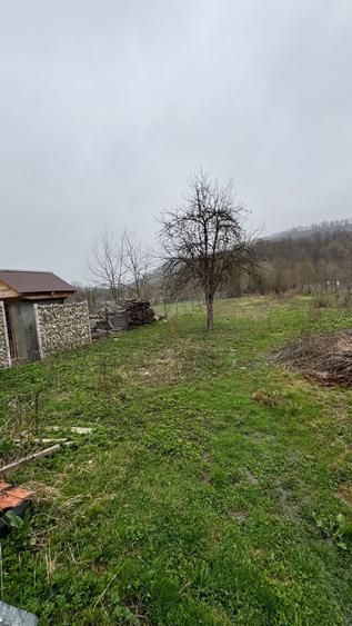 Vand casa batraneasca in Manastirea Casin - 3