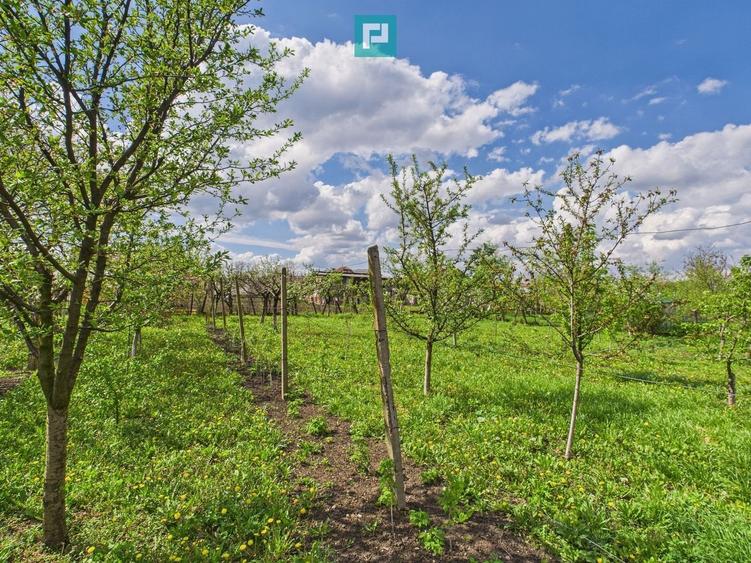 Casă individuală la Beregsău Mare, 2890 mp teren - 29