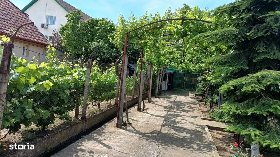 Casa individuala -Carani+teren 745 mp-strada asfaltata - 6