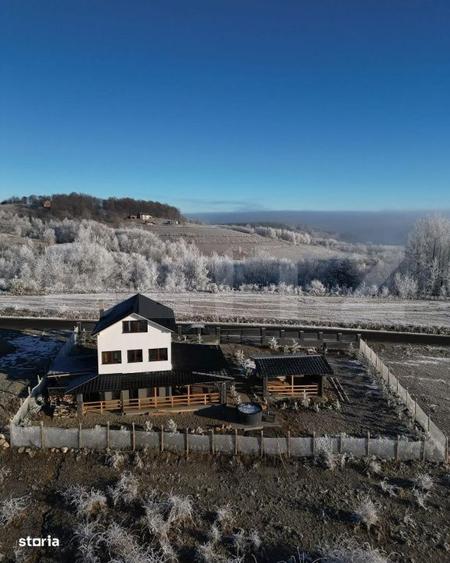 Cabana de vanzare oportunitate de business / casa de vacanta T - 3