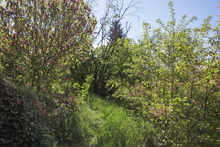 Teren de vanzare, zona Furnica!!! - 3