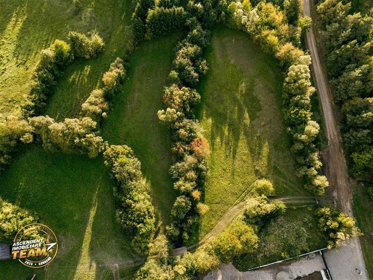 FILM! Teren extravilan, Ojdula, 4.800 mp, zona pitoreasca - 5