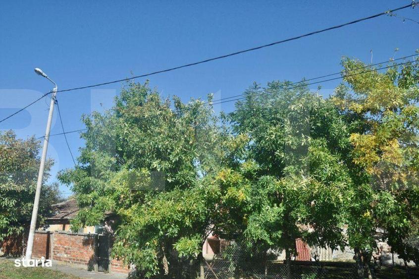 Vanzare Casa / Vila Giroc / Fratelia - 4