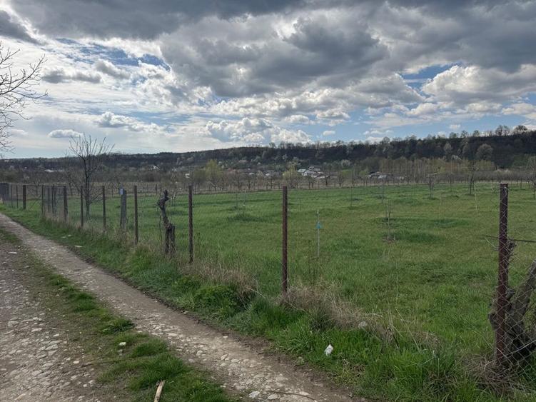 Teren intravilan! - 5