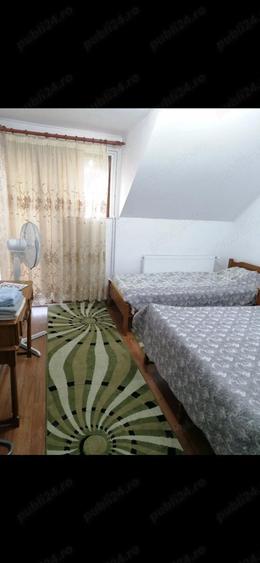 vand casa si afacere Cenad - 1