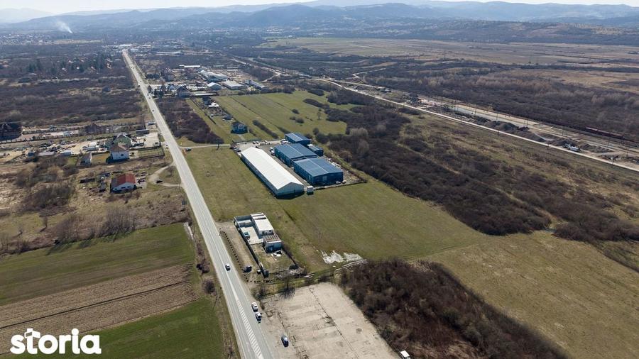 Teren extravilan de 7.000 mp langa Paltini? - 5