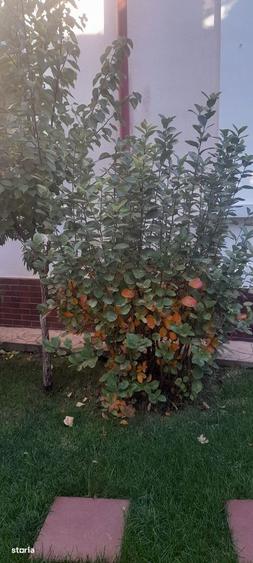 Casa deosebita amplasata central - 4